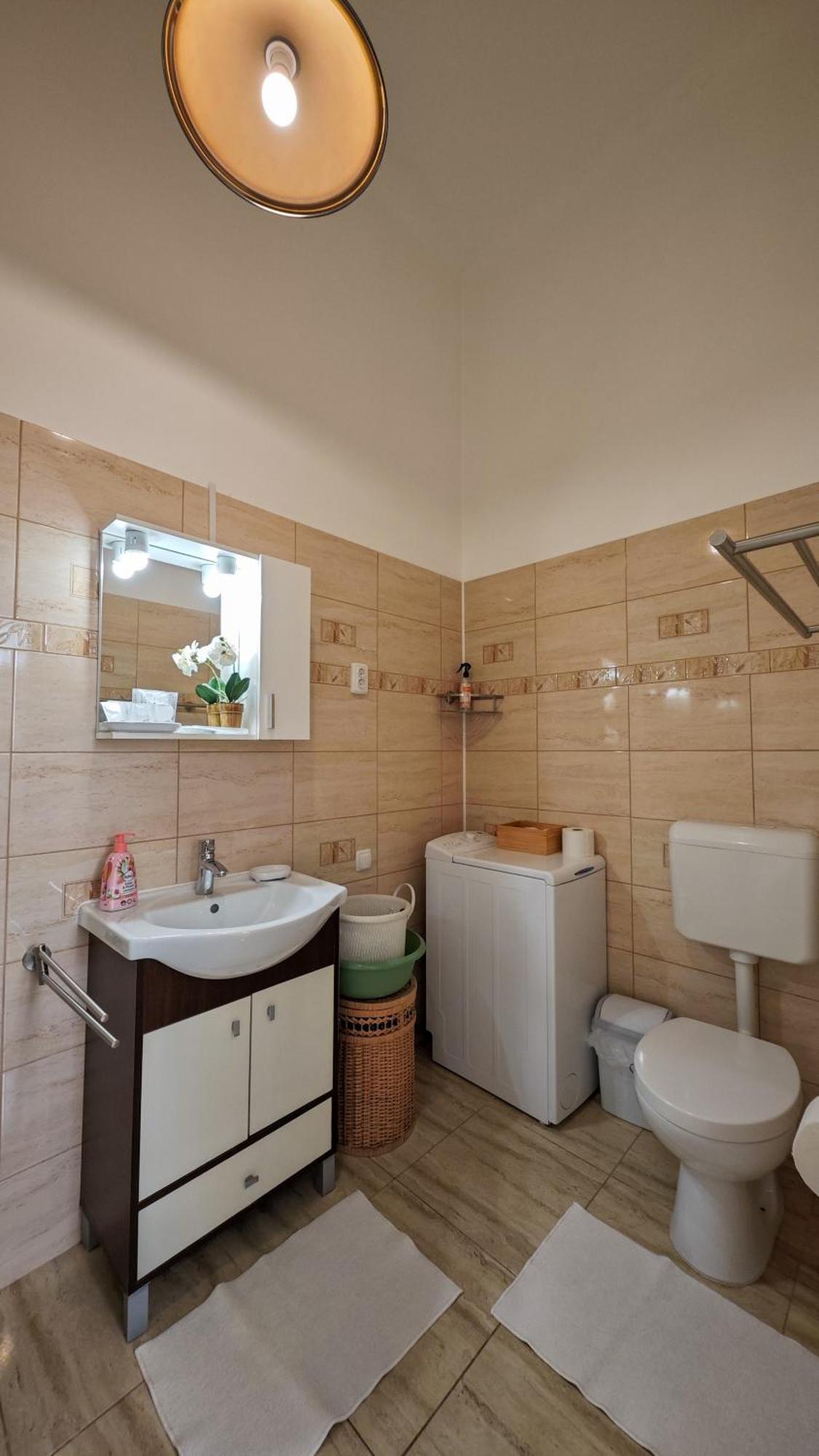 Neuhausz Residenz Ultra-Central Apartment Τιμισοάρα Εξωτερικό φωτογραφία