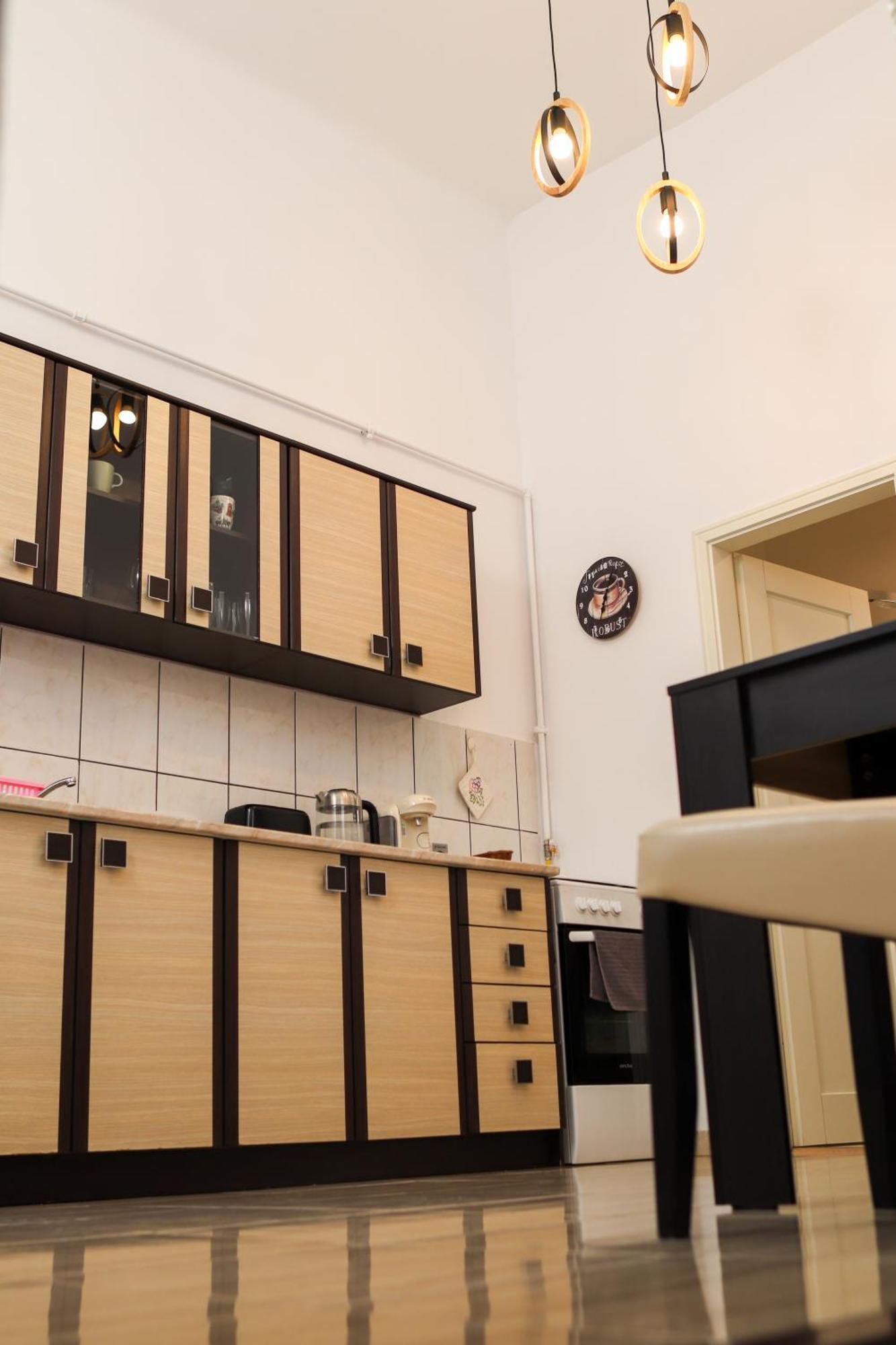 Neuhausz Residenz Ultra-Central Apartment Τιμισοάρα Εξωτερικό φωτογραφία